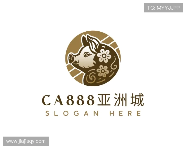 了解ca888官网平台入口